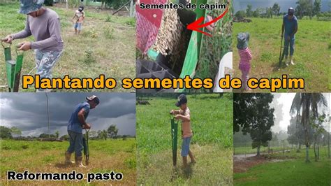 PLANTANDO SEMENTE DE CAPIM A MATRACA PARA REFORMAR O PASTO Vida Na