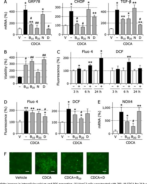 The Involvement Of Endoplasmic Reticulum Stress In Bile Acid Induced