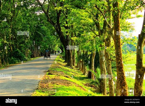 Village Street In Bangladesh Hi Res Stock Photography And Images Alamy