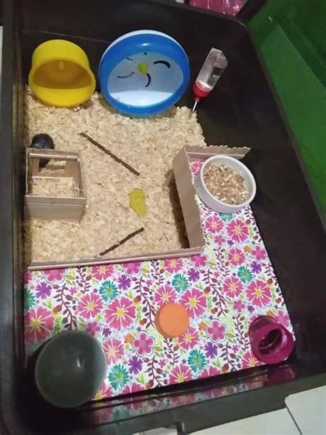 Hamster Bin Cage Philippines Kristal Purple Pieces