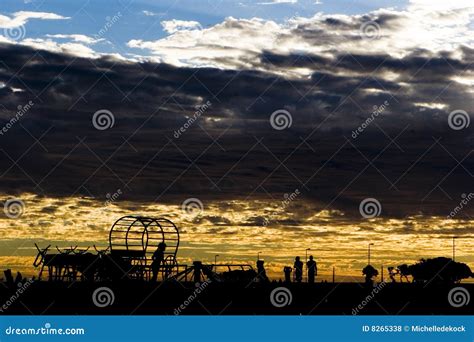 Sunset at the park stock photo. Image of park, summer - 8265338