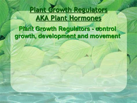 Plant Growth Regulators Ppt Download