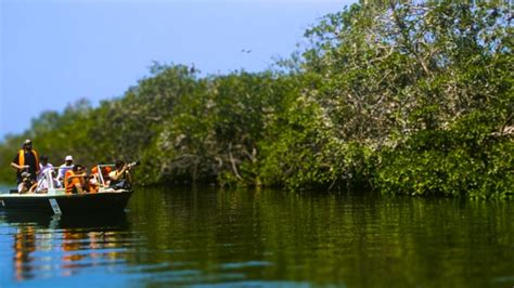 Areas Naturales Daran Ingreso 2 X1 Noticias De Entretenimiento Vida