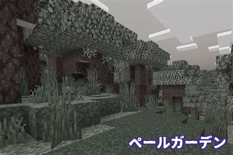 最新冬アプデマイクラアップデート情報まとめ マイクラモール