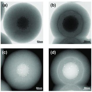 Bright Field Transmission Electron Microscopy Tem Images For A