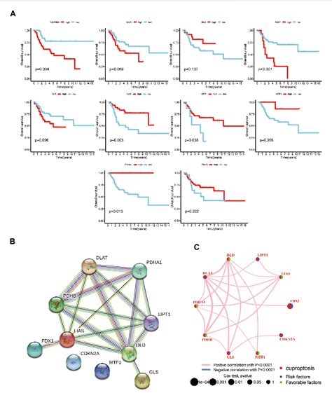 Figure 1 From Comprehensive Analysis Of Cuproptosis In Immune Response