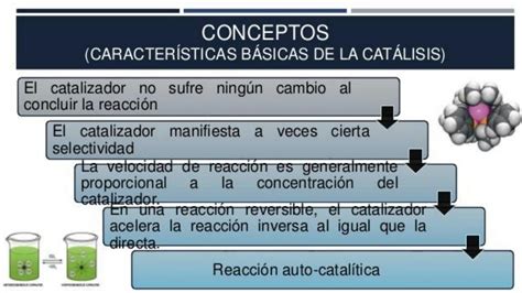 SOLUTION Cat Lisis Studypool