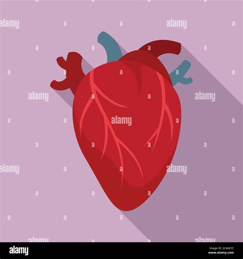 Cardiology Human Heart Icon Flat Illustration Of Cardiology Human