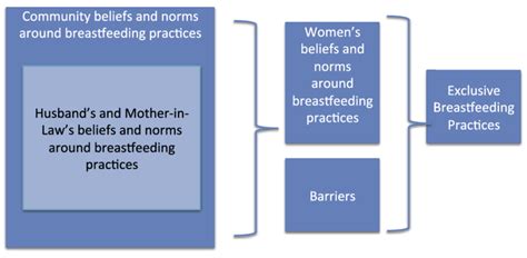 Conceptual Framework For Influences On Exclusive Breastfeeding And