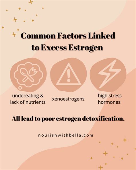 Estrogen Dominance Symptoms Causes Solutions Artofit