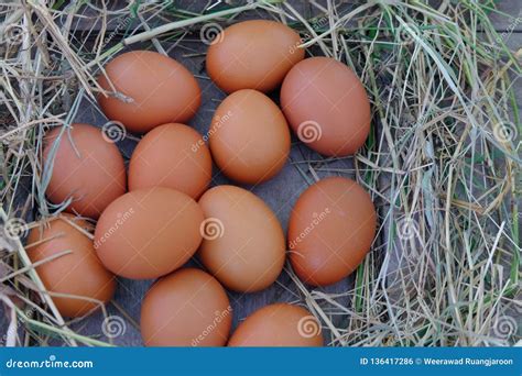 Chicken Eggs In Nest Of Straw On Old Wooden Background Stock Photo