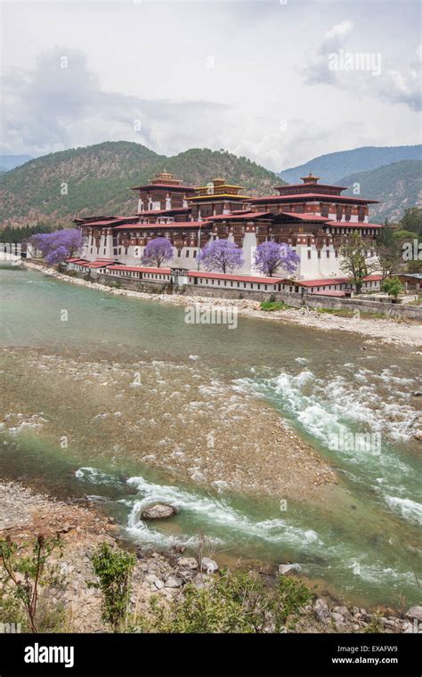 Punakha Dzong Hi Res Stock Photography And Images Alamy