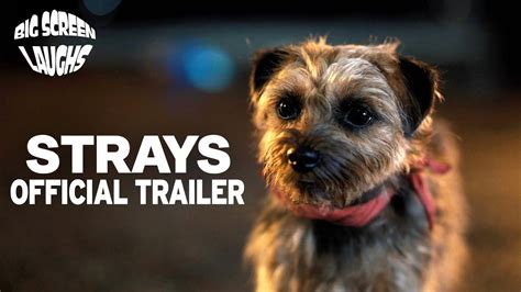 Strays 2023 Official Red Band Trailer Big Screen Laughs Youtube