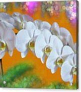 Pure White Orchid Multi Blossom Spray Orange Green Purple Bkgd Digital