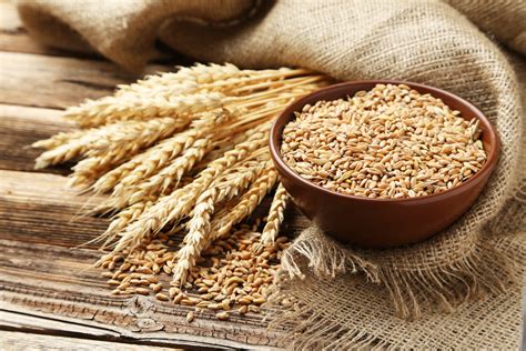 Canadian Grain Commission Takes Unique Steps To Protect Grain Producers ...
