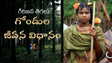 GOND TRIBE GONDULU గడల గరజన తగల గడల జవన వధన