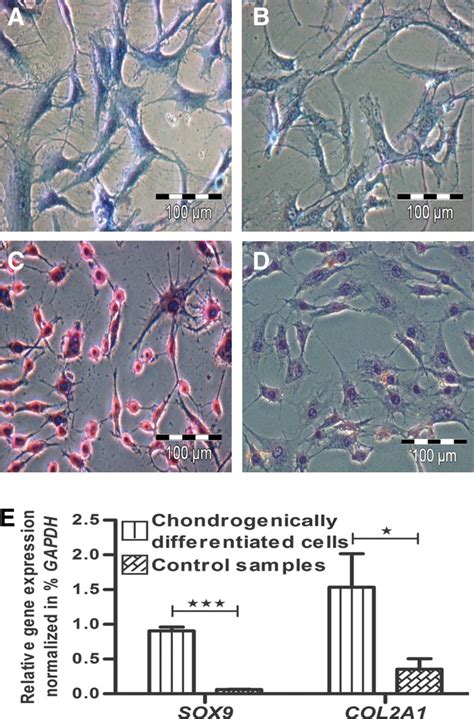 The Released Cells From Chondrogenically Induced Pellets Were Positive