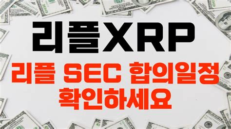 리플 리플 Sec 합의 일정 확인하세요 Youtube