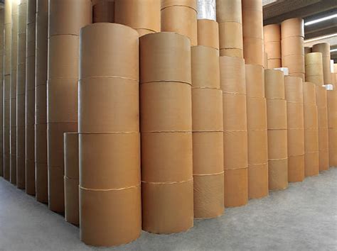 2200 Roll Paper Storage Stock Photos Pictures And Royalty Free Images