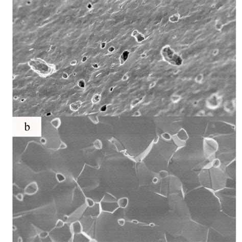 SEM micrographs of fracture surfaces of La 0 3 Sr 0 7 Sm x Ti 1 x O 3 δ