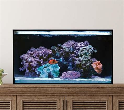 I Tested The Best 20 Gallon Saltwater Tank Kits Here S What You Need