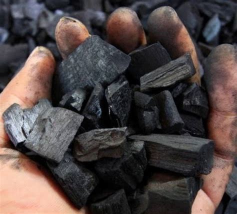 Jarang Diketahui Ini Khasiat Charcoal Arang Aktif Bagi Tubuh