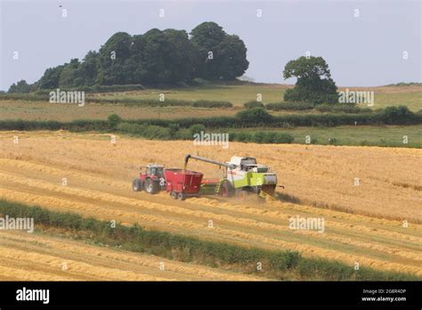 UK Weather Farmers Harvesting Crops During Heatwave In North Yorkshire