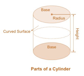 Lateral Surface Area of a Cylinder | Definition, Examples, Concepts