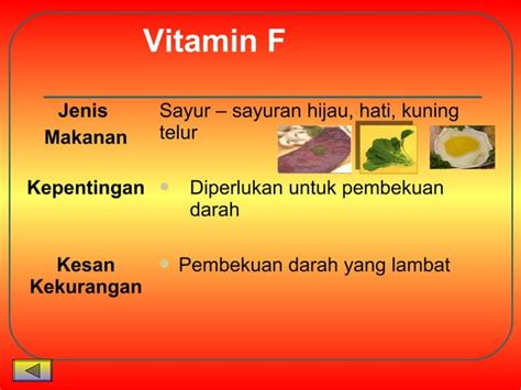 7 Kelas Makanan