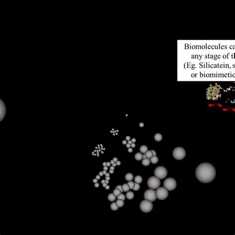 2: Diagrammatic representation of M13 bacteriophage genome and the ...