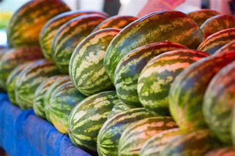 The Allsweet Watermelon - Minneopa Orchards