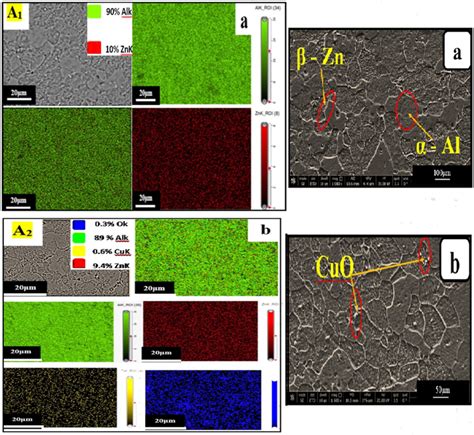 EDX Mapping And SEM Images Of A Homogeneous Microstructure Of A A1