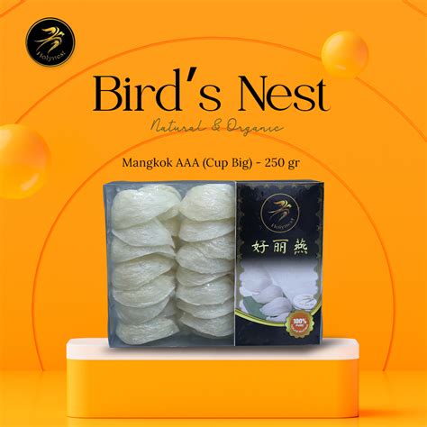 Sarang Burung Walet Bersih Cetak Mangkok AAA Cup Big Size Holynest