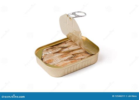 Can Of Sardines Stock Image Image Of Conserved Sardine 12546211