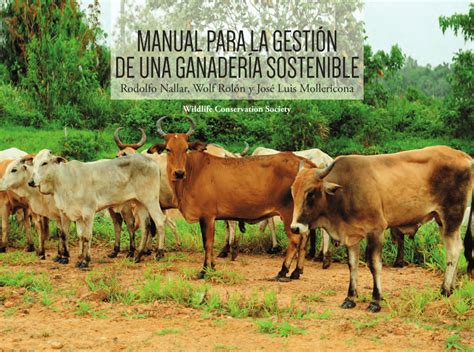 Pdf Manual Para La Gesti N De Una Ganader A Sostenible