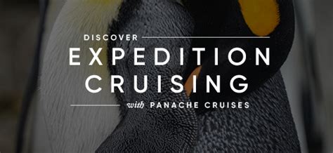 Regent Seven Seas Cruises 2024 | Panache Cruises