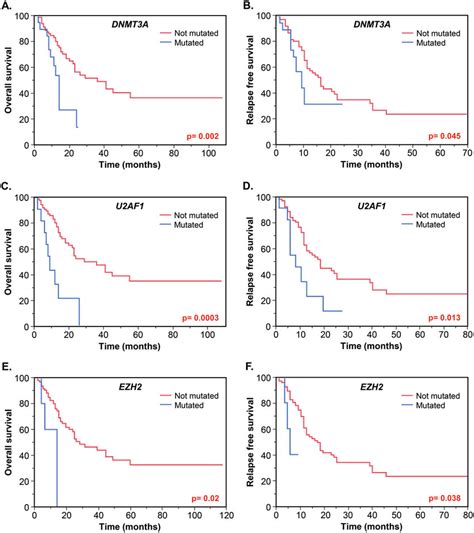 KaplanMeier Overall Survival OS And Relapse Free Survival RFS