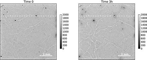 Flood Images Of CdTe Detector Irradiated With Tube 1 60 Ms Acquisition