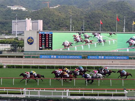 香港新賽馬季疫情下開鑼 總投注額1376億港元創新高 香港商報