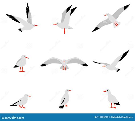 Seabirds Black White Stock Illustrations 70 Seabirds Black White