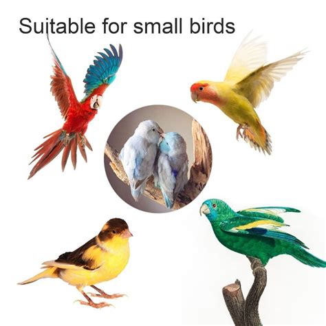 Hanging Bird Bath For Cage Transparent Bathtub Tube Cage Accessory EBay