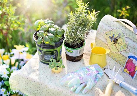 Essential Gardening Tools For Beginners Thegardengranny