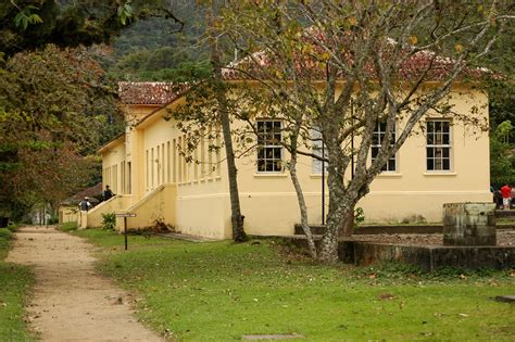 Parque Estadual Marinho Tartaruga De Pente Nova Uc De São Paulo Mar