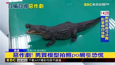 Po文稱凹仔底公園有鱷魚 男惡作劇遭法辦 Yahoo奇摩汽車機車