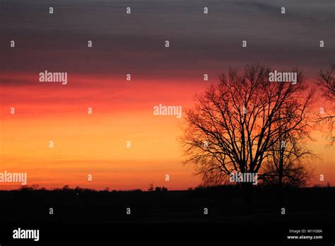 Sunset Through Tree Stock Photo Alamy