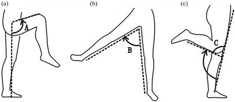 Range of movements conducted, and angles measured: (a) hip flexion, (b)... | Download Scientific ...