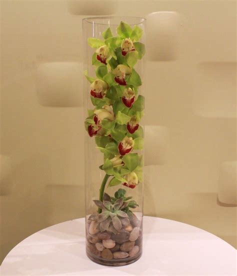 Green Cymbidium Orchids In A Cylinder Glass Vase Deluxe