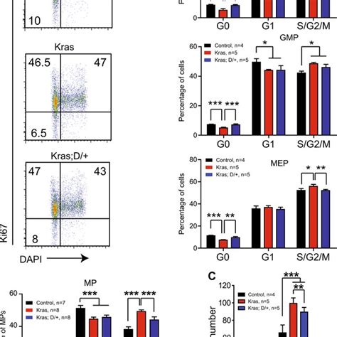 Downregulating Notch Signaling Inhibits Oncogenic Kras Induced Acute