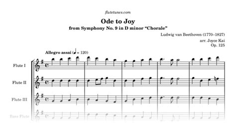 Ode To Joy From Symphony No 9 In D Minor “chorale” L Van Beethoven Free Flute Sheet Music