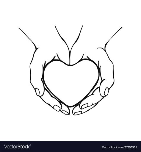 Hands Holding Heart Hand Drawn Royalty Free Vector Image